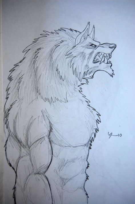 Werewolf Drawing Sketches, Werewolf Drawings, Werewolf Drawing, Monster Sketch, Cityscape Drawing, Drawing Superheroes, Wolf Artwork, Werewolf Art, Flower Art Drawing