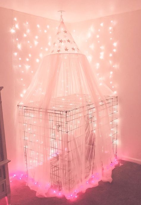 Aesthetic Dog Cage, Age Re Room, Spoiled Dog Aesthetic, Petspace Aesthetic, Little Spaces Room, Puppy Play Aesthetic, Pup Play Aesthetic, Puppycore Aesthetic, Age Reggresion Room