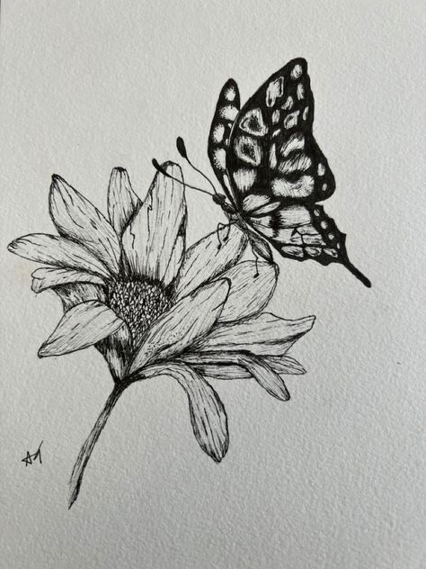 Butterfly On Leaf Drawing, Flower Drawing With Butterfly, Sunflower Butterfly Drawing, Butterfly And Flowers Drawing, Butterfly On Flower Drawing, Butterfly Pencil Drawing, Plant Sketches, Butterfly Black And White, Butterfly Sketch