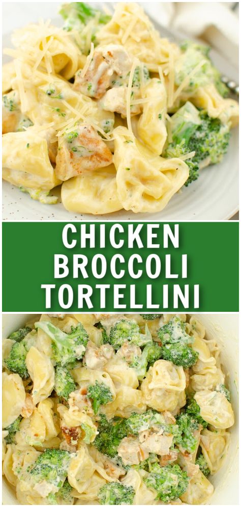 Cheese-filled tortellini, chicken, and broccoli in a creamy, Parmesan cheese sauce. Cheesy Chicken Broccoli Tortellini is an easy 20 minute dinner the whole family will love! Chicken Broccoli Tortellini, Broccoli Tortellini, Cheesy Chicken Broccoli, Tortellini Recipes, Chicken Healthy, Dinner Recipes For Family, Salad Pasta, Pasta Dinner Recipes, Health Dinner