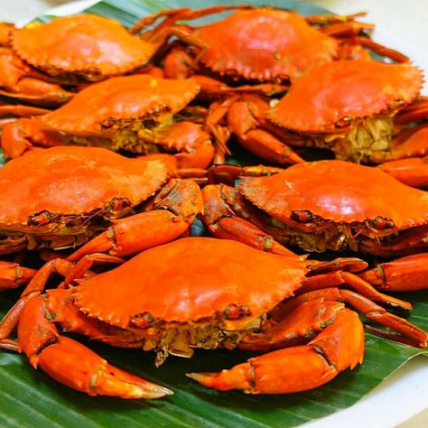 Steamed Crabs, Philippines Food, Food Culture, Seafood Recipes, Crab, Philippines, Seafood, Food And Drink, Quick Saves