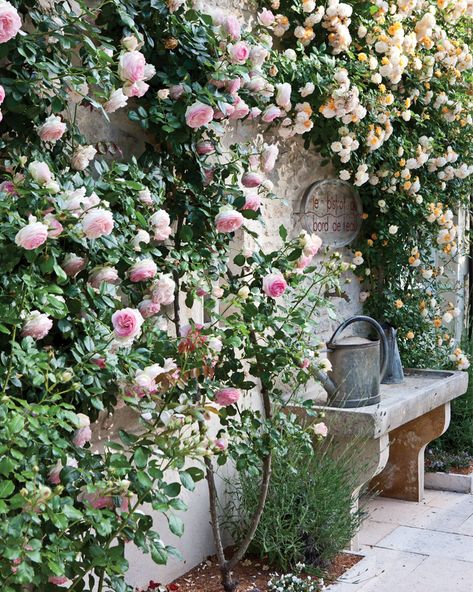 Peaceful Sojourns: Burgundy, France - Victoria Magazine Small Rose Garden Ideas, Garden Ideas To Make, Manor Garden, Burgundy France, Victoria Magazine, Front Yard Fence, French Rose, Spanish Style Homes, Garden Deco