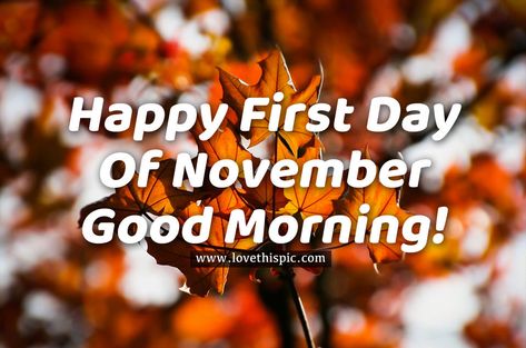 1st Of November Quotes, Happy First Day Of November, Happy New Month November, Happy New Month Messages, First Day Of November, November Images, 1st Of November, New Month Wishes, September Quotes