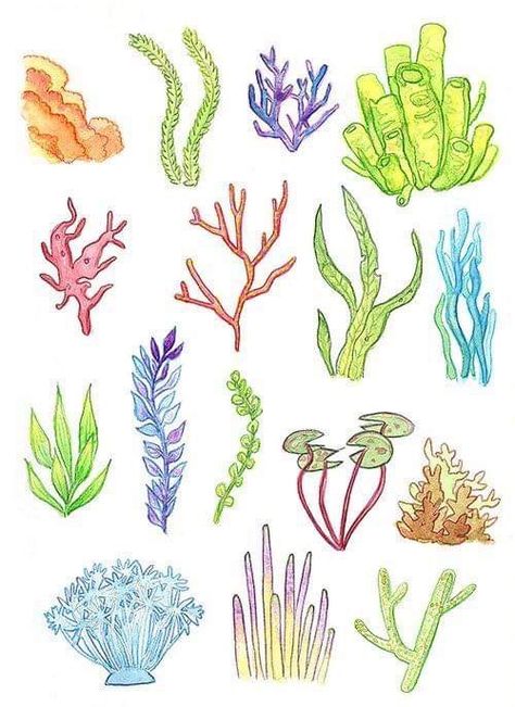 Drawing Seaweed, Illustration Underwater, Underwater Watercolor, Coral Drawing, Painting Underwater, Illustration Easy, Painting Plants, Coral Painting, Plants Watercolor