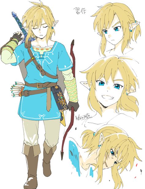 Zelda Drawing, Skins Minecraft, Link Art, Link Zelda, Zelda Art, Legend Of Zelda Breath, Zelda Breath, Twilight Princess, Breath Of The Wild