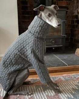 Whippet Jumpers & Sweaters | Greyhound Italian Lurchers Greyhound Italian, Whippet Puppies, Italian Greyhound, You Lost Me, Whippet, Jumper Sweater, Greyhound, Mona Lisa, Jumper