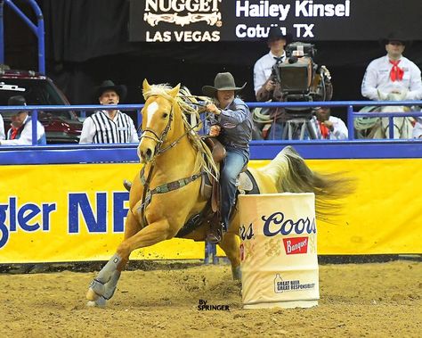 Hailey Kinsel, Fallon Taylor, National Finals Rodeo, Cute Horse Pictures, Barrel Racing Horses, Barrel Racing, Cute Horses, Horse Pictures, Country Music