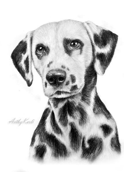 Dalmatian by ArtbyKerli Lou Dog, Dog Pencil Drawing, Bass Fishing Shirts, Puppy Sketch, Eagle Painting, Pyrography Patterns, Pencil Drawings Of Animals, Puppy Drawing, Pen Art Drawings