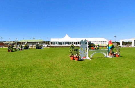 Sunshine tour, the unmissable equestrian event for all horse lovers Equestrian Competition, Equestrian Events, Horse Lovers, Interesting Information, The Sunshine, Horse Lover, Trekking, Make Sure, Equestrian