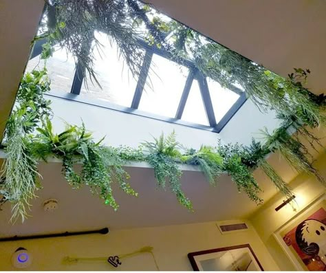 Sky Light Plants, Skylight Plants, Artificial Ceiling, 2025 Predictions, Roof Plants, Bathroom Plant, Big Indoor Plants, Lantern Wallpaper, Arch Windows