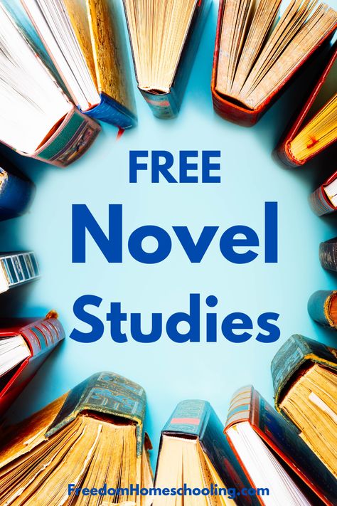 Free homeschool novel studies, book guides, and lesson plans for every grade. High School Novel Study, 2nd Grade Novel Studies, 6th Grade Novel Studies, Second Grade Books, Literature Unit Studies, Holes Book, Novel Study Activities, Study Printables, Novel Study Units