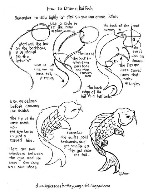 How to Draw Worksheets for The Young Artist: Printable How To Draw A Koi Fish Worksheet Scrapbook Drawings, Fish Worksheet, Draw A Koi Fish, Coy Fish, Koi Painting, Koi Fish Drawing, Drawn Fish, Ikan Koi, Draw Flowers