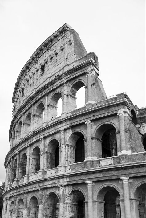 Rome Photography, Roman Colosseum, Greek Statues, Roman Architecture, Roman Art, Desenho Tattoo, Travel Images, Photography Wall, White Photo