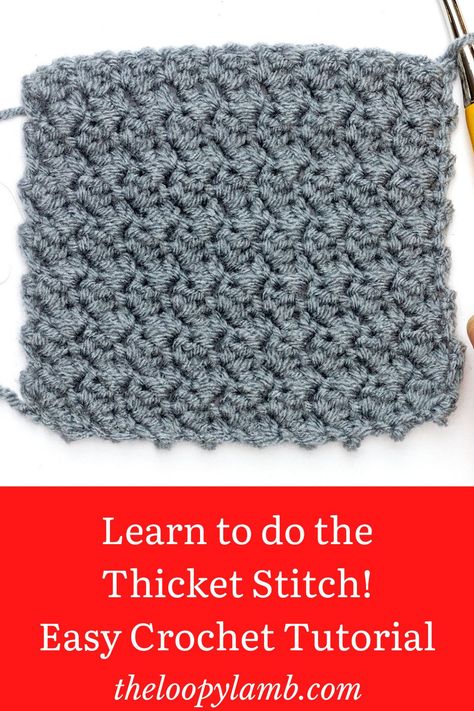 Thicket Stitch Crochet, Crochet Bloggers, Crochet Patterns Free Beginner, Easy Crochet Blanket, Easy Crochet Stitches, Crochet Blanket Designs, Crochet Tips, Crochet Goodies, Learn How To Crochet