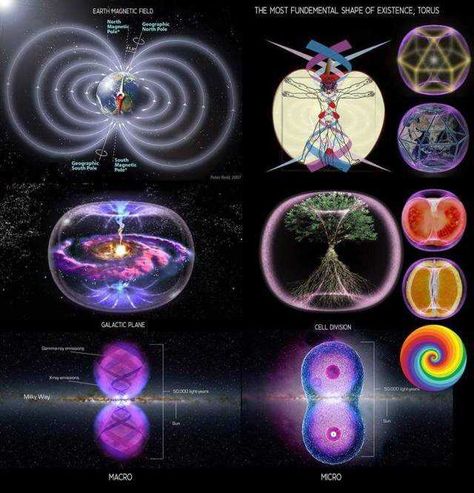 The Universe is an Infinite Scalar Fractal of Embedded Toroidal Dynamics - Nassim Haramein - Imgur Sacred Geometry Art, Spirit Science, Geometry Art, Ancient Knowledge, Free Energy, Energy Field, Flower Of Life, Spiritual Art, Sacred Geometry