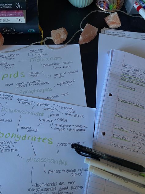 Mind Maps Aesthetic, Grades Aesthetic, Biology Revision, Maps Aesthetic, Studying Motivation, Romanticising School, High Achiever, Study Aesthetics, Study Buddy