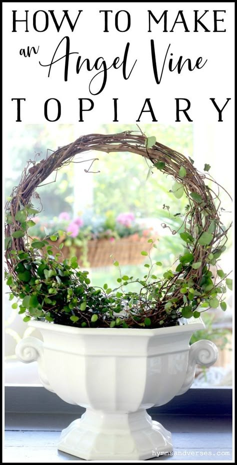 Wire Vine, Topiary Diy, Topiary Plants, Container Gardening Flowers, Inside Plants, Garden Containers, Topiaries, Garden Yard Ideas, Container Flowers