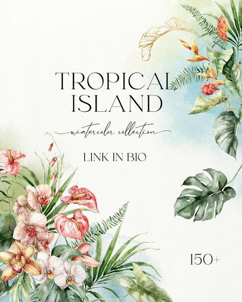 The tropical theme is popular again! This is not surprising - bright exotic flowers and huge juicy palm leaves rarely leave anyone indifferent. My watercolor collection Tropical island is drawn from my photographs from travels to tropical countries - which means that all the illustrations in it are authentic and imbued with my impressions. You can buy Tropical Island in my stores - link in profile Tropical Flowers Illustration, Illustration Color Palette, Island Watercolor, Illustration Design Ideas, Greenery Clipart, Aesthetic Tropical, Watercolor Flower Illustration, Leaves Clipart, Jungle Flowers