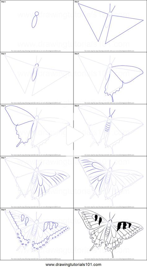 Butterfly Drawing Steps, How To Draw Butterfly Step By Step Easy, How To Draw A Butterfly Step By Step, How To Draw Butterflies, Swallowtail Butterfly Drawing, Butterfly Drawing Step By Step, How To Draw A Butterfly, Butterfly Draw, How To Draw Butterfly