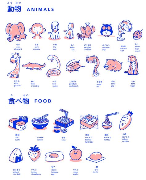 Japanese hiragana katakana learning kit with illustration and poster Hiragana Katakana, Learn Japan, Bahasa Jepun, Materi Bahasa Jepang, Basic Japanese Words, Japanese Language Lessons, Learn Japanese Words, Learning Japanese, Japanese Language Learning