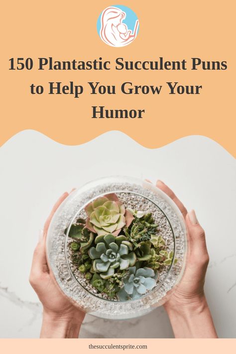 This list is perfect for succulent enthusiasts of all levels, from beginners to seasoned lovers. With a variety of puns, there's something for everyone to enjoy. Whether you're looking to add some humor to your plant collection or just starting out with succulents, this list has got you covered. Get ready to laugh and fall in love with these witty puns! Succulent Puns Funny, Succulent Quotes Funny, Succulent Sayings, Succulent Quotes, Succulent Puns, Witty Puns, Plant Puns, Classy Quotes, Growing Succulents