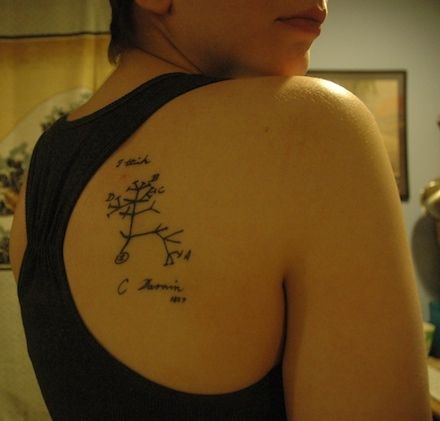 Darwin’s very first phylogeny, from his Notebook B on Transmutation of Species Charles Darwin Tattoo, Darwin Tattoo, Darwin Tree Of Life, Scientific Tattoo, Written On The Body, Science Tattoo, Science Tattoos, Life Sketch, Tree Of Life Tattoo