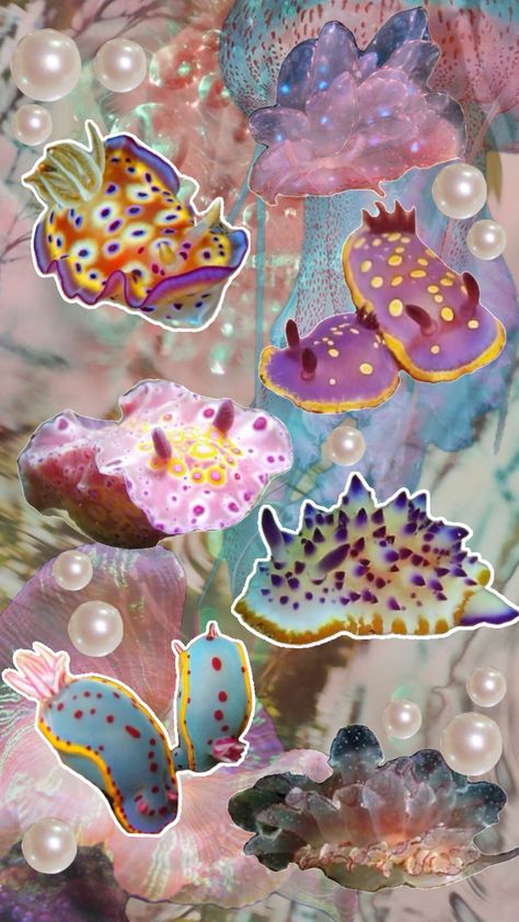 #underwater #ocean #seaslug #cute #pearly #pearls #wallpaper #collage Sea Slug Wallpaper, Sea Bunny Wallpaper, Pearly Wallpapers, Camryn Core, Bunny Sea Slug, Pearls Wallpaper, Ocean Rain, Wavy Art, Sea Bunny