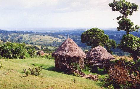 The Cherang'any Hills are a range of hills in the western highlands of Kenya. The hills are one of Kenya's five main forests and catchment areas. The highlands, the large central plateau, is divided by the Mau Escarpment which rises from the border with Tanzania up to the Cherang'any Hills. https://www.tranquilkilimanjaro.com/cherangany-hills/ #Kenyanmountains #cheranganyhills Kilimanjaro Mountain, Catchment Area, The Hills, Tanzania, Kenya, Maine, Forest, Range