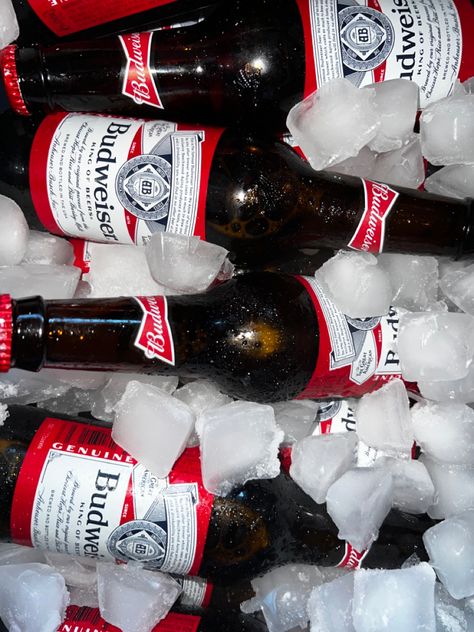 Budweiser beer bottles in alternating formation with ice Modelo Beer Aesthetic, Budweiser Aesthetic, Frat Aesthetic, Beer Budweiser, Spring Playlist, Beer Aesthetic, Modelo Beer, Dad Aesthetic, Beer