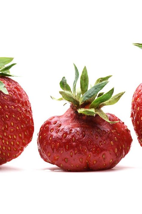 Kroger Just Created an Incredible Solution for Misfit Fruits and Veggies #purewow #grocery store #fruit #food #news #vegetable Strawberry Cottage, Store Fruit, Strawberry Summer, I Love Summer, Fruit Food, Ice Cream Parlor, Grafic Design, Strawberry Fields, Pookie Wookie