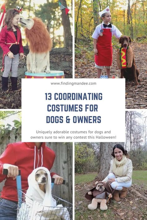 Funny Dog Costumes With Owner, Dog Circus Costume, Dog Costumes For White Dogs, Holloween Costume With Dog, Puppy And Me Halloween Costumes, Cockapoo Halloween Costumes, Halloween Costume For Dogs And Owners, Lion Dog Costume With Owner, Golden Retriever Costume Ideas