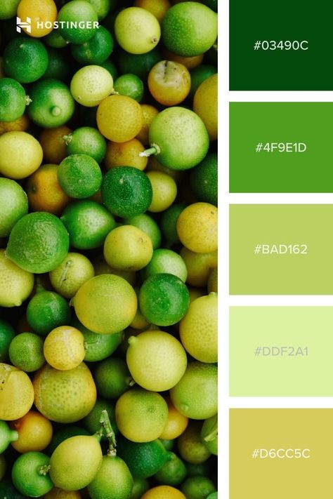 Lime Palette, Palette Green, Hexadecimal Color, Hex Color Palette, Color Palette Challenge, House Color Palettes, Fresh Color Palette, Green Palette, Brand Color Palette