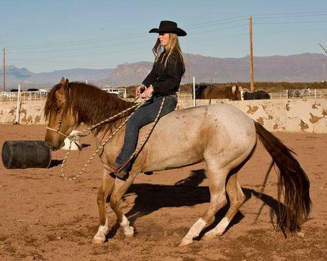 Mustang Horse Training, Mustang Training, Mustang Makeover, Bareback Riding, Horse Coat Colors, Reining Horses, Mustang Horse, Barrel Horse, Cowgirl And Horse