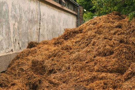 How To Use Horse Manure In Your Garden - Urban Garden Gal How To Use Horse Manure In Garden, Horse Manure For Garden, Manure For Garden, Manure Composting, Planting Fruit Trees, Horse Manure, Chicken Manure, Composting Process, Cow Manure