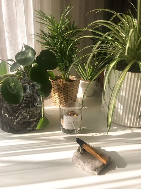 Home plants candle palo santo incense pilea flower pot crystal Palo Santo Aesthetic, Journaling 2024, Palo Santo Incense, Life Plans, Home Plants, Open Window, Flower Pot, Incense, House Plants