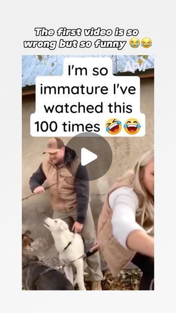 Crazy Funny Pictures Animals, Dog Voice Over Videos, Funny Puppies Video, Funny Animal Videos Can't Stop Laughing, Funny Dog And Cat Videos, Cute Dogs Videos, Puppy Videos Funny, Funny Videos Animals, Funny Baby Animals