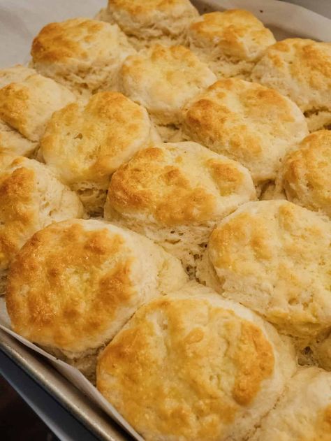 These are the most fluffy and buttery biscuits you'll ever make at home. They're just like ones you get at a restaurant. They're so tender and soft. You won't be able to eat just one!! Best Homemade Biscuits, Best Biscuit Recipe, Homemade Biscuits Recipe, Easy Biscuit Recipe, Buttermilk Biscuits Recipe, Distant Memory, Buttermilk Recipes, Biscuits Easy, Buttery Biscuits