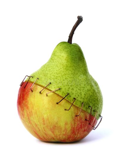 Fruit mix tackered together. Piece of an apple and a pear stapled together symbo #Sponsored , #sponsored, #Ad, #mix, #Piece, #stapled, #tackered Genetically Modified Food, Gmo Foods, Arte Peculiar, Genetic Engineering, Object Photography, Fruit Photography, Apple Pear, Foto Art, Genetic