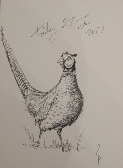 Pen & ink drawing of Mr Pheasant who looked rather startled after I trudged out in my wellies to feed the birds by Sophie E Tallis. Pheasant Pencil Drawing, Pheasant Drawing Easy, Pheasant Sketch, Pheasant Drawing, Bird Artists, Charcoal Sketch, Animal Art Prints, Organic Art, Owls Drawing