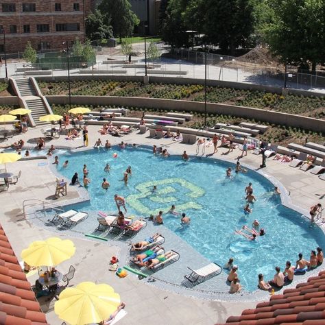 Small Indoor Pool, Swim Camp, Custom Water Feature, Longmont Colorado, Colorado Boulder, Leisure Pools, Pool Contractors, University Of Colorado Boulder, Round Pool