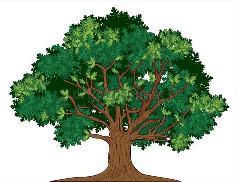 Vector oak tree. Vector illustration of old green oak tree , #AFFILIATE, #oak, #Vector, #tree, #green, #illustration #ad Decoupage Images, Old Oak Tree, Tree Images, Tree Graphic, Free Art Prints, Tree Roots, Tree Illustration, Art Et Illustration, Tree Drawing