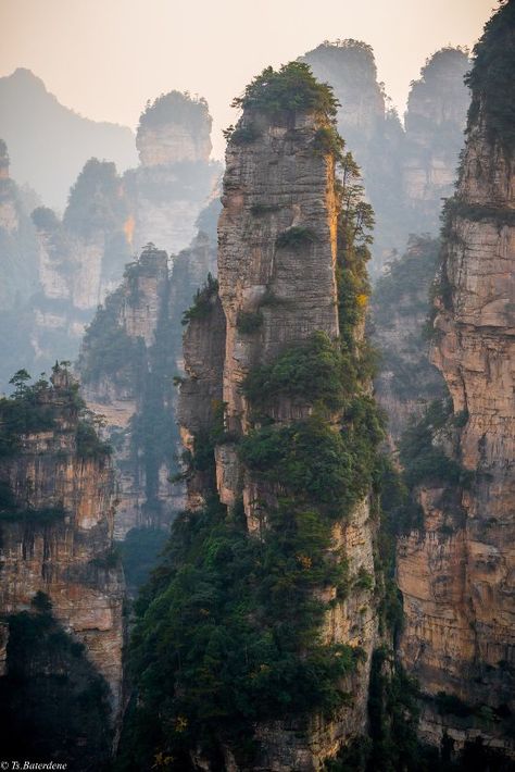 Chinese Forest, Chinese Nature, Zhangjiajie National Forest Park, Travel Desk, Chinese Mountains, Mountain Trees, Mountain Vibes, Mountain Landscape Photography, Zhangjiajie