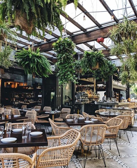 Botanical Restaurant, Outdoor Restaurant Patio, Hanging Ferns, Bar Deco, Plants Hanging, Outdoor Restaurant Design, Terrace Restaurant, Coffee Shop Interior Design, Restaurant Patio