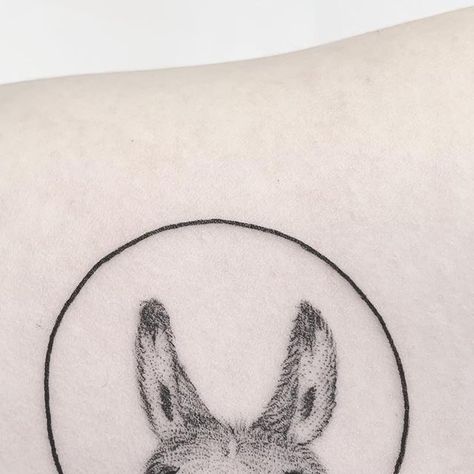 Emma Kristin on Instagram: "The cute donkey from flash day . . . #istedgade #vesterbro #københavn #copenhagen #copenhagentattoo #smalltattoo #donkey #donkeytattoo" Donkey Tattoo, Cute Donkey, Small Tattoos, Copenhagen, Flash, Italy, Tattoos, On Instagram, Instagram