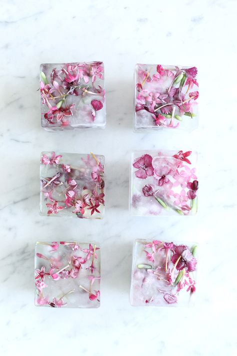 Homemade Floral Ice Cubes | Summer entertaining, summer party ideas and more from @cydconverse Dinner Party Salad, Floral Ice Cubes, Flower Ice Cubes, Floral Ice, Soya Mumu, Salad Toppers, Flower Ice, Kampot, Dandelion Recipes