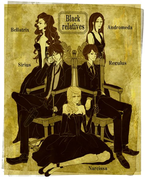 The Black Family. Marauder's Era.  The Black Family interests me for some reason, I don't know why. House Of Black Harry Potter, Fanart Harry Potter, Meme Harry Potter, Stile Harry Potter, Theme Harry Potter, Harry Potter Images, Images Harry Potter, Harry Potter Artwork, Black Family