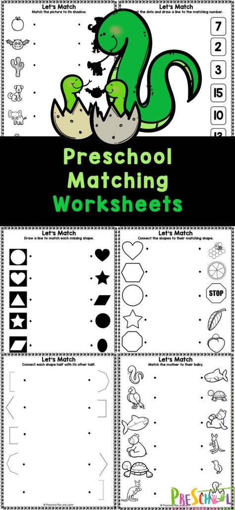 Young children benefit from lots of practice to learn a new skill; children this age love doing worksheets. So we've made these free printable preschool matching worksheets to help preschoolers work on their matching skills and fine motor skills at the same time. These matching worksheets for preschoolers are such a fun activity for children age 4 and 5 to work with alphabet letters, animals, and shapes. Leaf Worksheets Preschool, Preschool Matching Worksheets, Matching Worksheets For Preschool, Picture Matching Worksheet, Free Printable Preschool Worksheets, Coloring Worksheets For Kindergarten, Alphabet Worksheets Kindergarten, Matching Worksheets, Free Preschool Printables