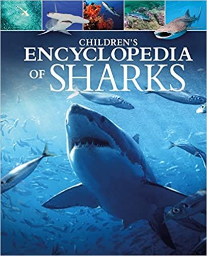 Children's Encyclopedia of Sharks (Arcturus Children's Reference Library): Martin, Claudia: 9781398820173: Amazon.com: Books Shark Books, Marine Biologist, Bookshelves Kids, Fascinating Facts, Stunning Photography, Underwater Photography, Her. Book, Poetry Books, Cheap Books Online