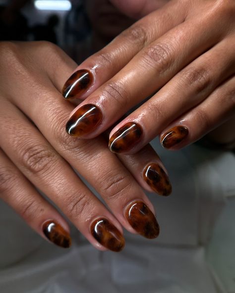 Tortoise shell type of fall🍁🍂🐢 𝐄-𝐟𝐢𝐥𝐞: ♡ @melodysusie_official 𝑼𝒔𝒆 𝑪𝒐𝒅𝒆 ‘ 𝑵𝑨𝑰𝑳𝑻𝑹𝑰𝑰𝑷 ‘ 𝒇𝒐𝒓 $ 𝒐𝒇𝒇 𝐏𝐨𝐥𝐢𝐬𝐡𝐞𝐬: ♡ @beetlesgelpolish ♡ @beetles_community 𝐇𝐚𝐫𝐝 𝐆𝐞𝐥: ♡ @ibdbeauty #humboldtnails #humboldtnailtech #trendingnails #trendingnaildesigns #arcatanails #eurekanails #707nails #nailart #nailartist #californianailtech #nailtechlife #nail tech #nailtechcheck #nailsnailsnails #tortoiseshellnails #tortoiseshell #tortoise #nail art trends #nailstagram #naildesigns #luxurynails #luxurynailar... 2 Short Nails 3 Long, Short Nails Tortoise, Short Almond Nails Tortoise, Tortoise Shell Short Nails, Tortoise Shell Gel Nails, Short Tortoise Nails, Tortuous Shell Nails, Brown Tortoise Nails, Short Tortoise Shell Nails