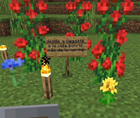 Letrero de Minecraft farses de Minecraft detalle de Minecraft Minecraft Quotes, Minecraft Love, Love Minecraft, Memes Minecraft, Minecraft Anime, Club Penguin, Cute Gif, Pretty Cool, Red Flowers